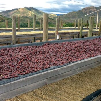 Aufbereitung auf der Dry-Mill