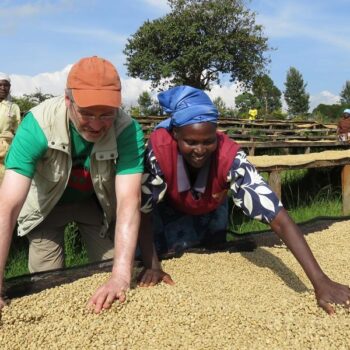 trockene Aufbereitung der Pergaminos